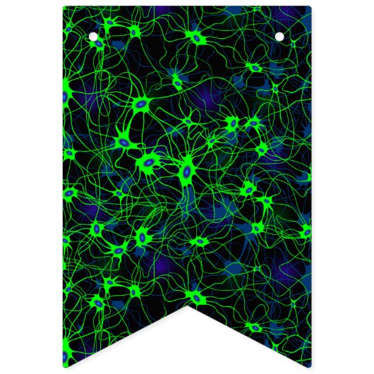 Neuron City Banner (Tweede vlag)