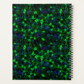 Neuron City Planner (Achterkant)