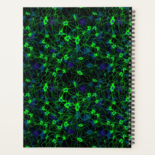 Neuron City Planner (Achterkant)