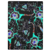 Neuron. Klembord (Achterkant)