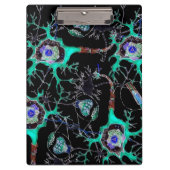 Neuron. Klembord (Voorkant)