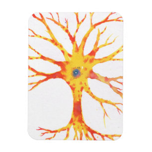 Neuron Magneet