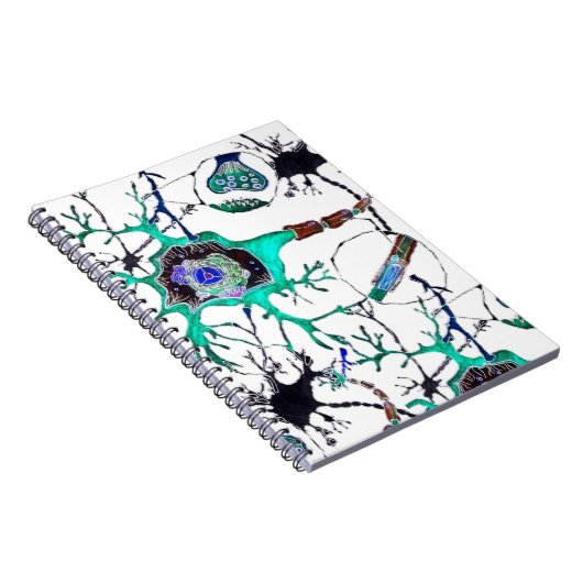 Neuron. Notitieboek (Rechterzijde)