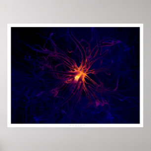 Neuron Poster