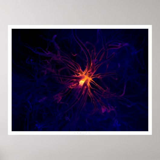Neuron Poster (Voorkant)