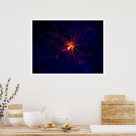 Neuron Poster (Keuken)