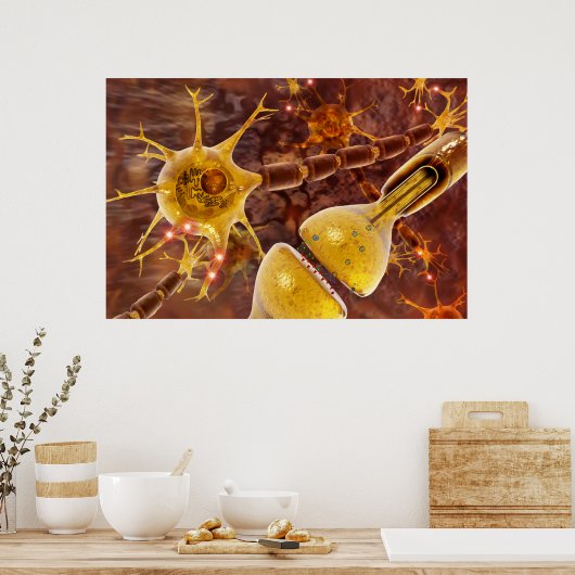 Neuron Poster (Keuken)