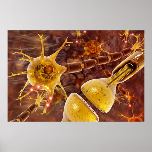 Neuron Poster (Voorkant)