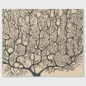 Neuron Tekening door Santiago Ramón y Cajal Cadeaupapier (Vlak)