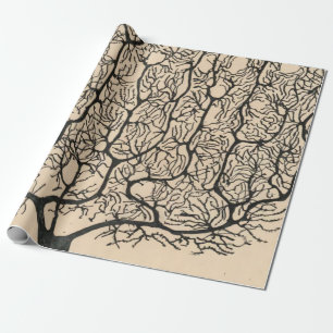 Neuron Tekening door Santiago Ramón y Cajal Cadeaupapier