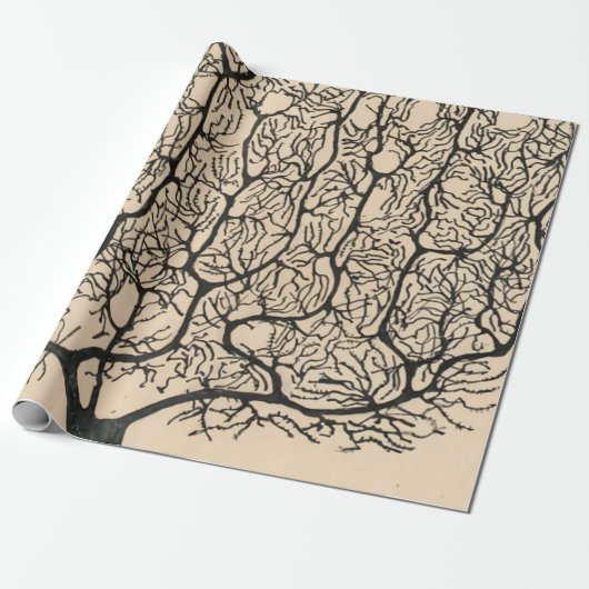 Neuron Tekening door Santiago Ramón y Cajal Cadeaupapier (Uitgerold)