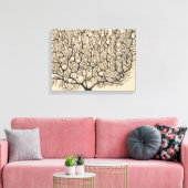 Neuron Tekening door Santiago Ramón y Cajal Canvas Afdruk (Insitu (Woonkamer))