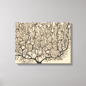 Neuron Tekening door Santiago Ramón y Cajal Canvas Afdruk (Voorkant)