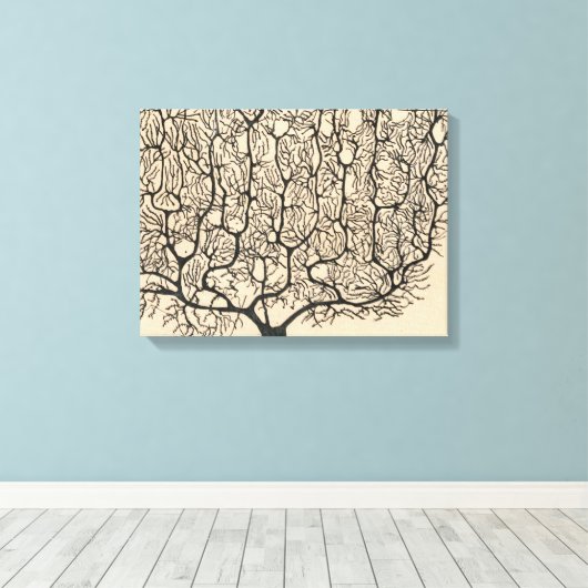 Neuron Tekening door Santiago Ramón y Cajal Canvas Afdruk (Insitu (Houten vloer))
