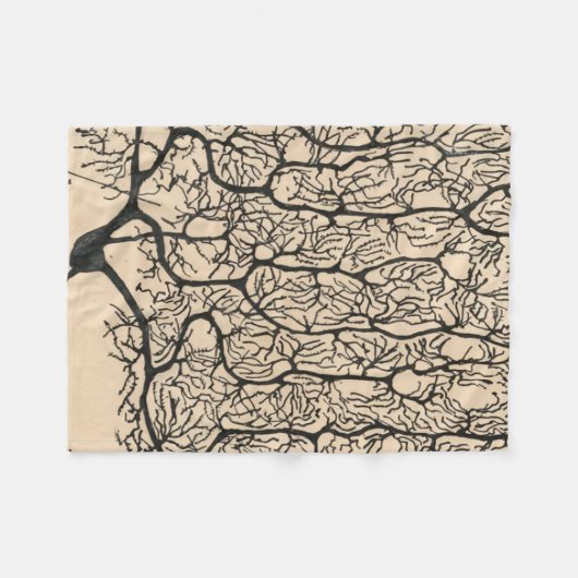 Neuron Tekening door Santiago Ramón y Cajal Fleece Deken (Voorkant (Horizontaal))