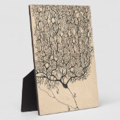 Neuron Tekening door Santiago Ramón y Cajal Fotoplaat (Zijkant)
