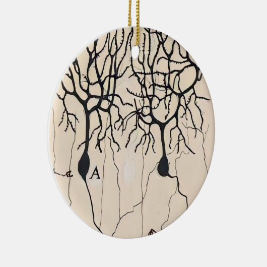Neuron-tekening door Santiago Ramón y Cajal Keramisch Ornament (Rechts)