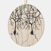  Neuron-tekening door Santiago Ramón y Cajal Keramisch Ornament (Links)