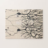 Neuron-tekening door Santiago Ramón y Cajal Legpuzzel (Horizontaal)