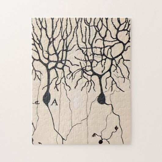 Neuron-tekening door Santiago Ramón y Cajal Legpuzzel (Verticaal)