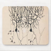  Neuron-tekening door Santiago Ramón y Cajal Muismat (Voorkant)