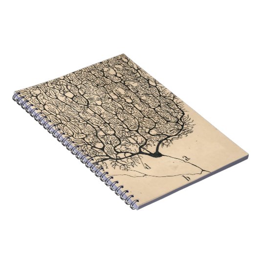 Neuron Tekening door Santiago Ramón y Cajal Notitieboek (Rechterzijde)