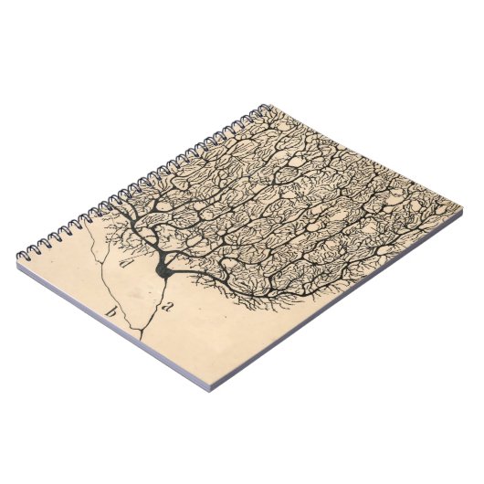 Neuron Tekening door Santiago Ramón y Cajal Notitieboek (Linkerzijde)