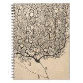Neuron Tekening door Santiago Ramón y Cajal Notitieboek (Voorkant)