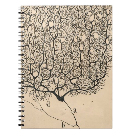 Neuron Tekening door Santiago Ramón y Cajal Notitieboek (Voorkant)