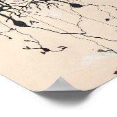 Neuron-tekening door Santiago Ramón y Cajal Poster (Hoek)