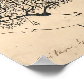 Neuron Tekening door Santiago Ramón y Cajal Poster (Hoek)