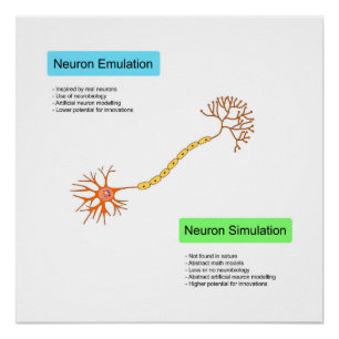 Neuronen Perfect Poster
