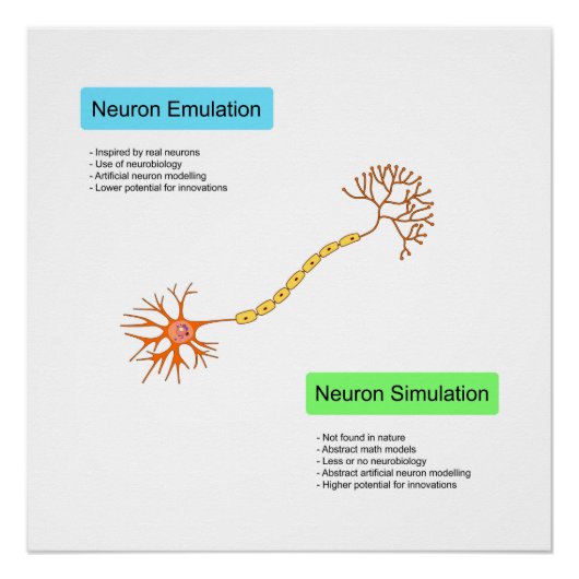 Neuronen Perfect Poster (Voorkant)