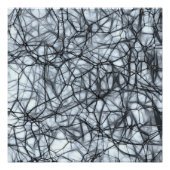 Neuronen Poster (Voorkant)