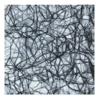 Neuronen