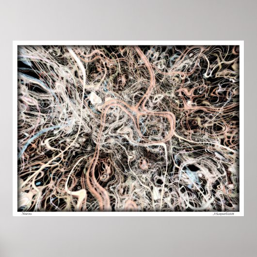 Neuronen Poster (Voorkant)