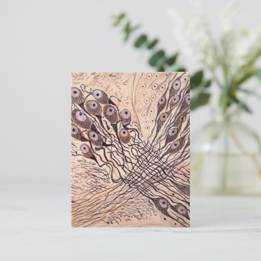 Neuronen van Cajal 1 Briefkaart (Staand voorkant)