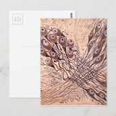 Neuronen van Cajal 1 Briefkaart (Voorkant / Achterkant)