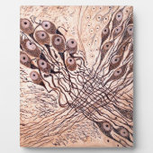 Neuronen van Cajal 1 Fotoplaat (Voorkant)