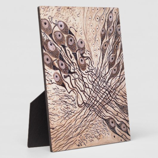 Neuronen van Cajal 1 Fotoplaat (Zijkant)