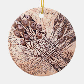 Neuronen van Cajal 1 Keramisch Ornament