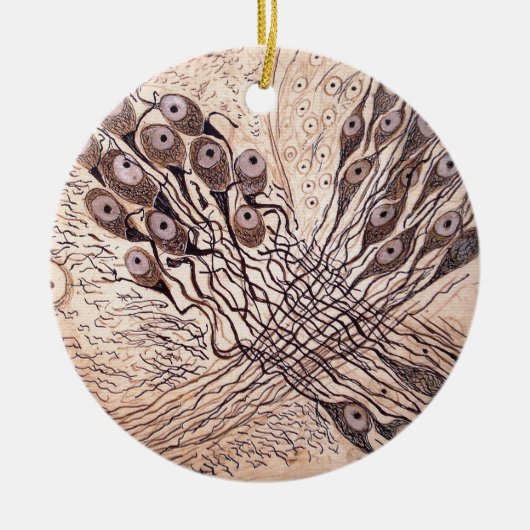 Neuronen van Cajal 1 Keramisch Ornament (Voorkant)