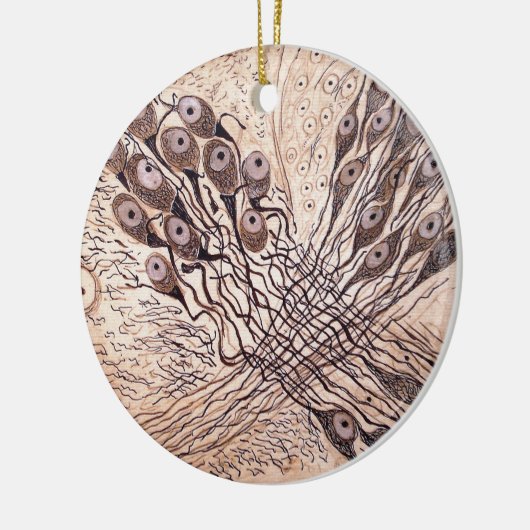 Neuronen van Cajal 1 Keramisch Ornament (Links)