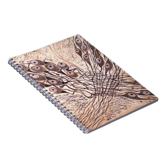 Neuronen van Cajal 1 Notitieboek (Rechterzijde)