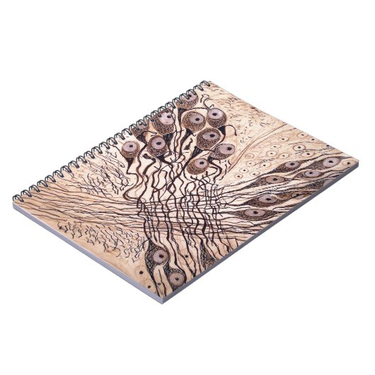 Neuronen van Cajal 1 Notitieboek (Linkerzijde)