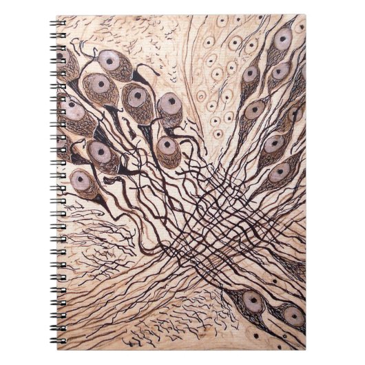 Neuronen van Cajal 1 Notitieboek (Voorkant)