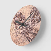 Neuronen van Cajal 1 Ronde Klok (Hoek)