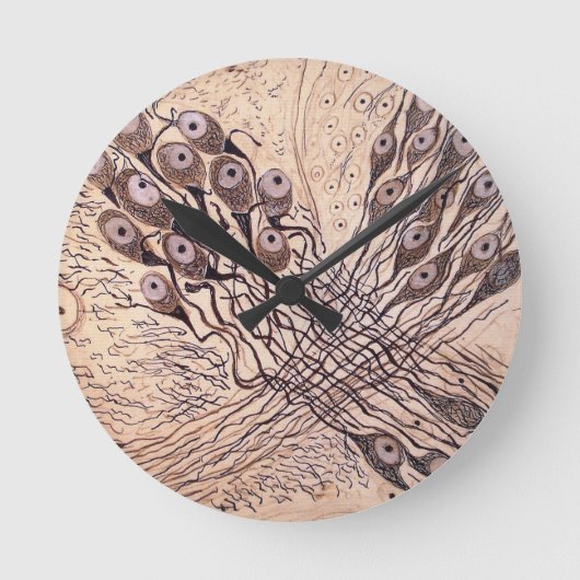 Neuronen van Cajal 1 Ronde Klok (Voorkant)