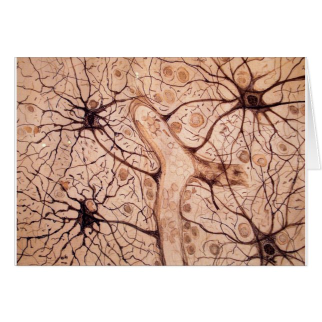 Neuronen van Cajal 3 (Voorkant Horizontaal)
