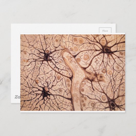 Neuronen van Cajal 3 Briefkaart (Voorkant / Achterkant)